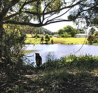 Newry Park Cottage - Australia Accommodation