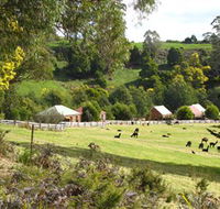 Tin Dragon Trail Cottages - Australia Accommodation