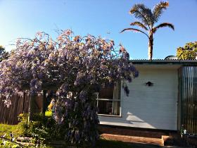 North East Apartments - Australia Accommodation 1