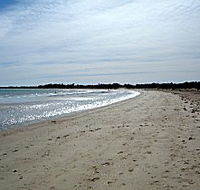 Greens Beach Caravan Park - Australia Accommodation