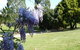 Rowes Retreat Bed And Breakfast - thumb 3