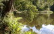 Weldborough Camping Ground - thumb 0