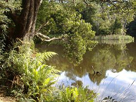 Weldborough Camping Ground - Australia Accommodation 0