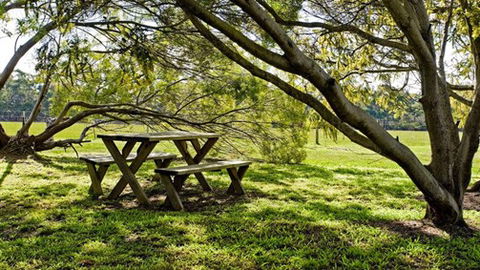 Freshwater Creek Cottages - Australia Accommodation 4