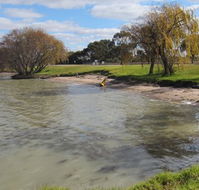 Kangaroo Lake Caravan Park - Australia Accommodation