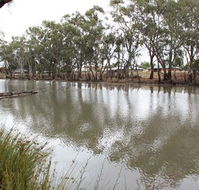 Riverbank Caravan Park - Australia Accommodation
