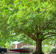 Lakes and Craters Holiday Park - Australia Accommodation