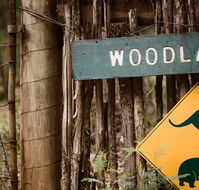 Woodlands Rainforest Retreat - Australia Accommodation