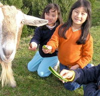 Johanna River Farm and Self Contained Cottages - Australia Accommodation
