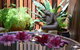Lonsdale Views - thumb 7