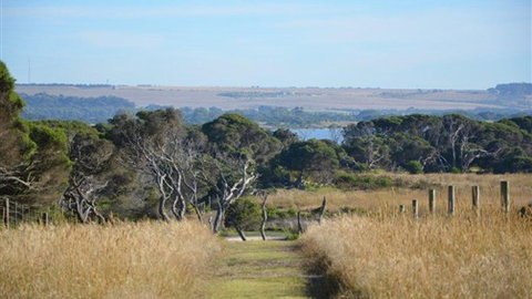 Lonsdale Views - Australia Accommodation 8