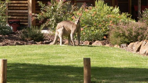  Australia Accommodation