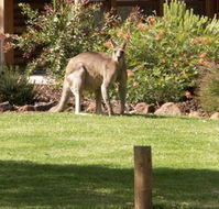 Southern Grampians Cottages - Australia Accommodation