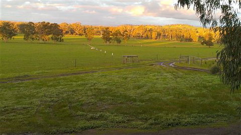 Rotherlea Lodge - Australia Accommodation 4