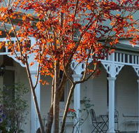 Yarra Gables Motel - Australia Accommodation