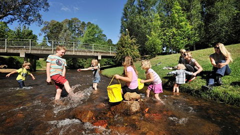NRMA Bright Holiday Park - Australia Accommodation 3