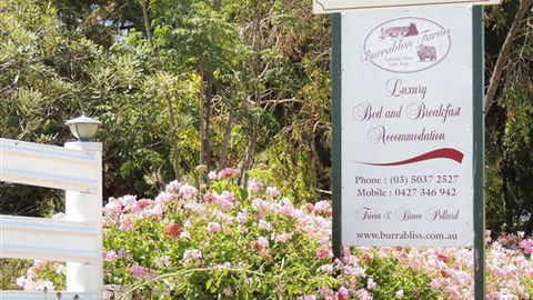Burrabliss Bed And Breakfast - Australia Accommodation 6