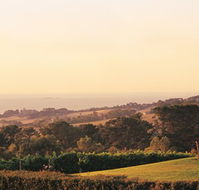 The Studio Bed and Breakfast - Australia Accommodation