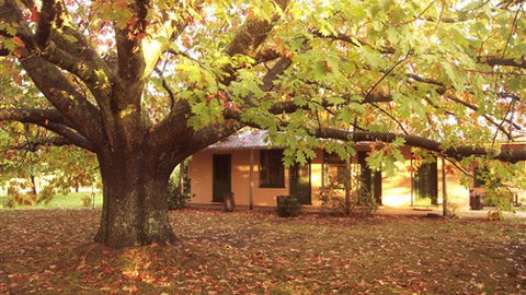 Delatite Station - Australia Accommodation 3