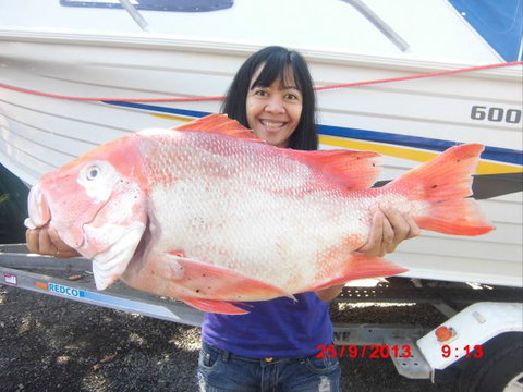 Flying Fish Point Tourist Park - Australia Accommodation 6