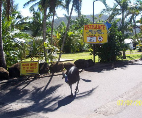 Flying Fish Point Tourist Park - Australia Accommodation 9