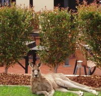Alpha Canberra Hotel and Apartments - Australia Accommodation