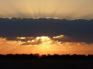 Collie NSW Australia Accommodation