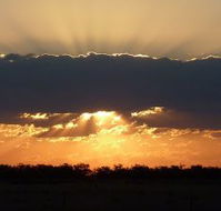 Collie Hotel - Australia Accommodation