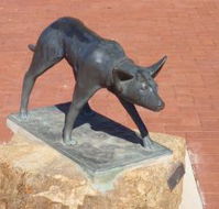 The Ardlethan Kelpie Caravan Park - Australia Accommodation