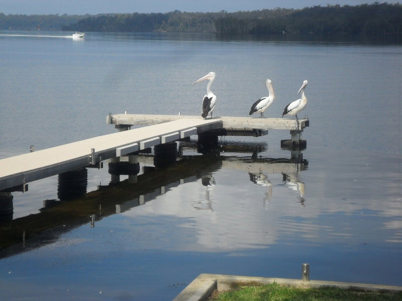 Basin View NSW Australia Accommodation