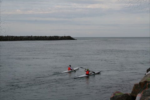 NRMA Port Macquarie Breakwall Holiday Park - Australia Accommodation 7