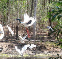 Rakhi Retreat - Australia Accommodation