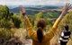 Eagleview Resort - thumb 1