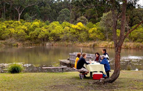 Eagleview Resort - Australia Accommodation 4