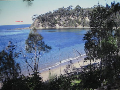 Grantham House  Pet Friendly Holiday Home - Australia Accommodation 8