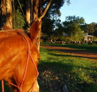 Billa Billa Farm Cottages - Australia Accommodation