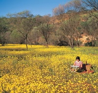 Miners Camp at Coalseam National Park - Australia Accommodation