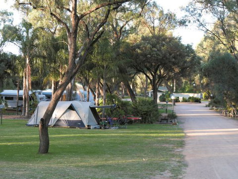 Riverbend Caravan Park Renmark - Australia Accommodation 1