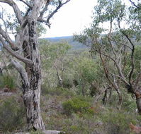 The Glen - Australia Accommodation