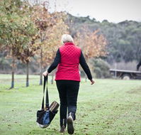 Black Cat Cottage - Australia Accommodation