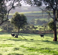 Bellevue Farmstay - Australia Accommodation