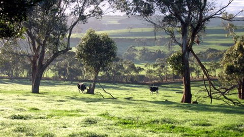 Bellevue Farmstay - Australia Accommodation 0