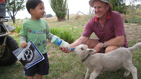Bellevue Farmstay - Australia Accommodation 1