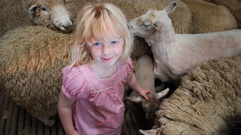 Bellevue Farmstay - Australia Accommodation 4