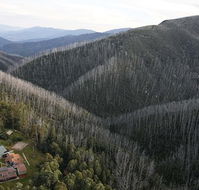 YMCA Howmans Gap Alpine Centre - Australia Accommodation