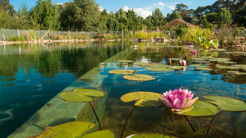 Stanley VIC Australia Accommodation