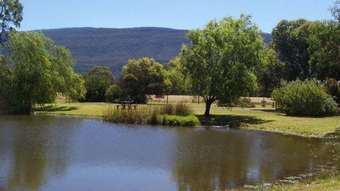 Halls Haven Resort - Australia Accommodation 4