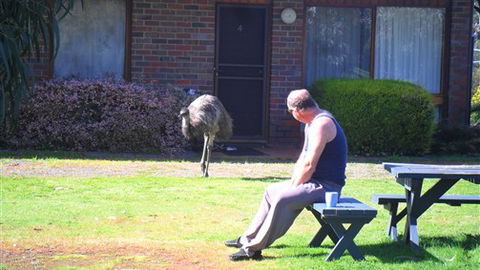 Halls Haven Resort - Australia Accommodation 7