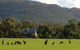 Grampians Pioneer Cottages - thumb 3