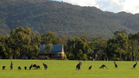 Grampians Pioneer Cottages - Australia Accommodation 3